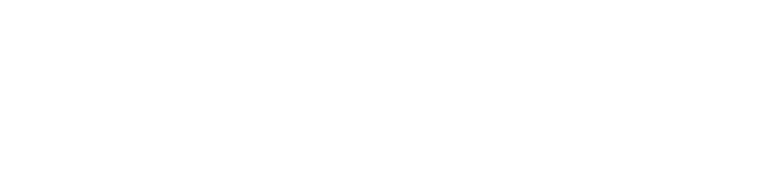 Defendix logo
